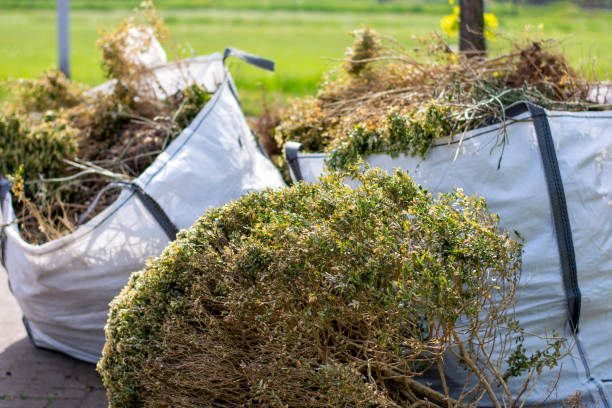 Best Same-Day Junk Removal  in Monticello, MN